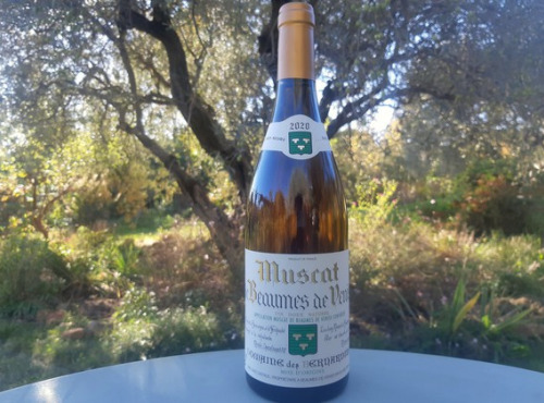 Domaine des Bernardins - Domaine des Bernardins - Muscat de Beaumes de Venise 2022