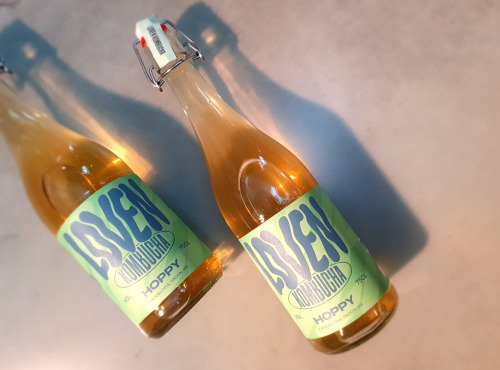 Brasserie L'Indispensable LOVEN Kombucha - Kombucha Hoppy (Houblons) - 3x75cl