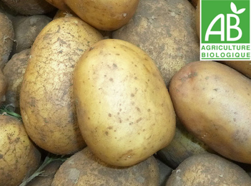 Mon Petit Producteur - Pomme De Terre Bio À Chair Ferme 25kg