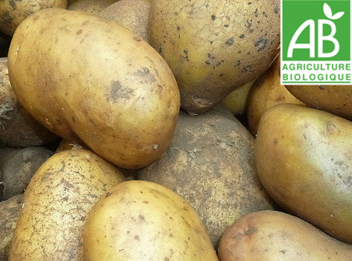 Mon Petit Producteur - Pomme De Terre Bio À Chair Tendre [2,5 kg]