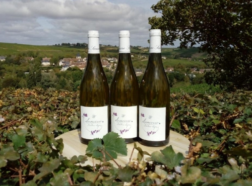 Domaine Doudeau-Leger - Sancerre Blanc AOC 2022 - 3 Bouteilles