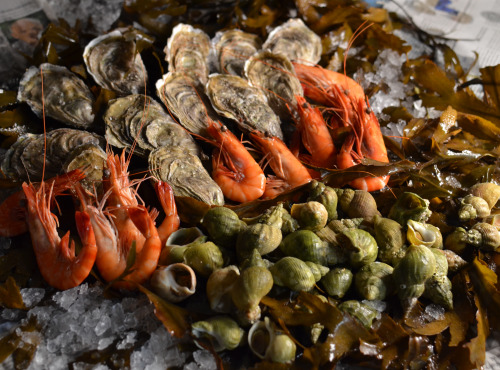 Thalassa Tradition - Plateau de Fruits de Mer d'Amaury - Thalassa Tradition - 2 personnes