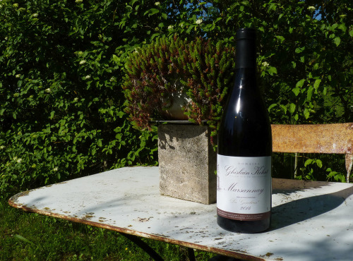 Domaine Ghislain Kohut - Lot 3 Bouteilles de Marsannay lieu-dit "les Genelières" AOC