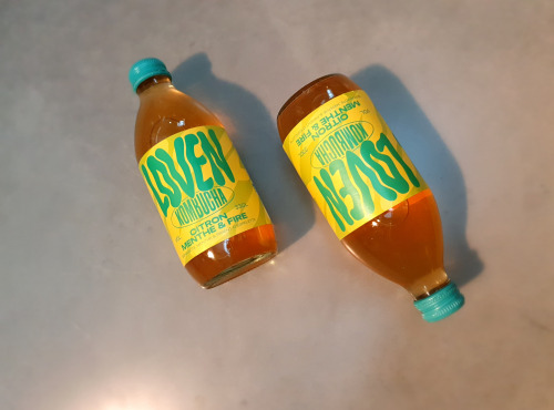 Brasserie L'Indispensable LOVEN Kombucha - Kombucha Citron Menthe & Fire - 6x33cl