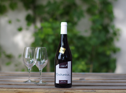 Domaine de l'Ambroisie - L'enchanteur  3x75cl