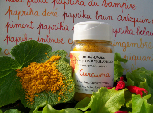 HERBA HUMANA - Curcuma Bio Cultivé en France 25 g