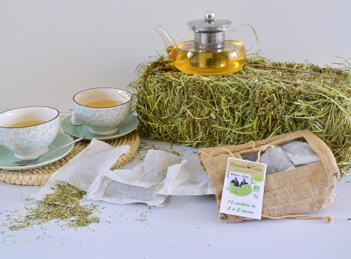 Dégustonfoin - Tisane au Foin BIO – 10 sachets de 10g