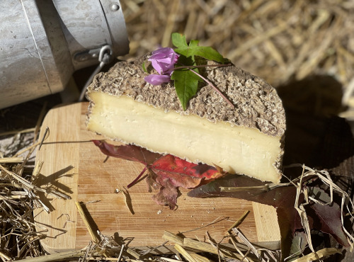 Fromagerie Maurice - 1/2 Tomme affinée au lait cru