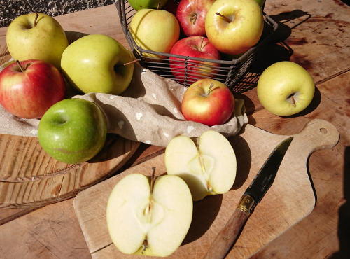 Le Verger de Crigne - Trio De Pommes Bio (moyen Calibre) - 10kg