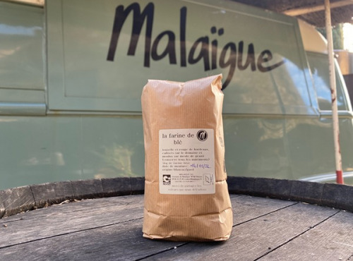 Domaine de Malaïgue - Farine de blés anciens bio - 1kg