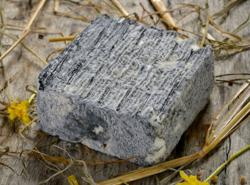 Le Petit Perche - Pavé Frais de Chèvre