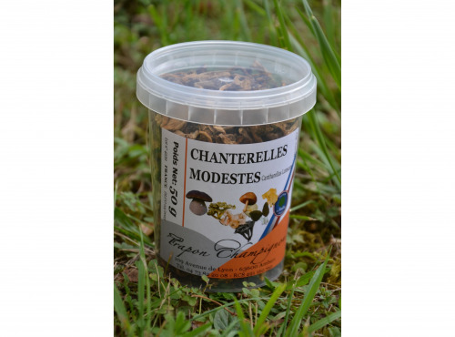 Trapon Champignons - Chanterelles Jaunissantes Sechées - 50 G