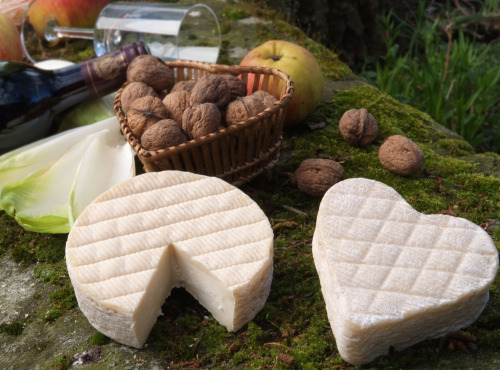 Fromagerie de la Chapelle Saint Jean - ROLLOT ROND