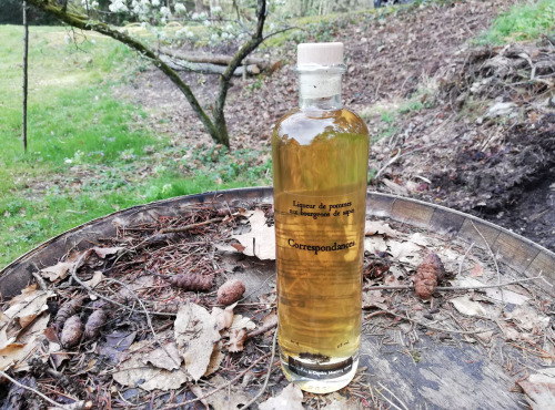 Vinaigres de la Carrière - Eau de Vie de Pomme aux Bourgeons de Sapin - 50 cl