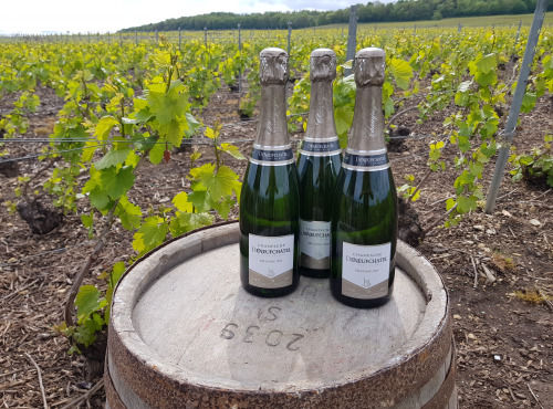 Champagne Deneufchatel - Champagne Deneufchatel Millésime 3 X 75 Cl