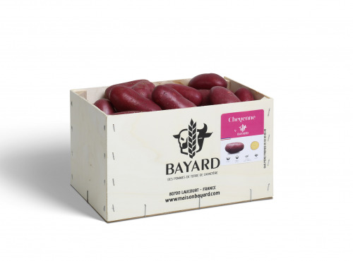 Maison Bayard - Pommes De Terre Cheyenne - 5kg