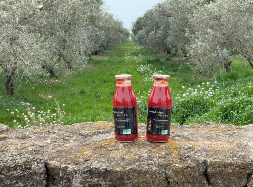 Serradimigni Père et Fils - 2x Coulis de tomates BIO 50cl