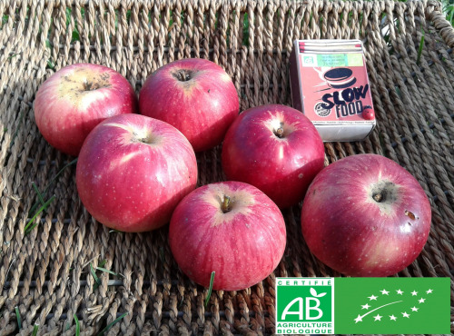 Les Jardins de Karine - POMME Rouge de Lorraine - 1kg