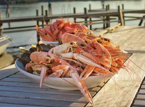 Ô'Poisson - Langoustines cuites (moyennes à grosses) - lot de 1kg