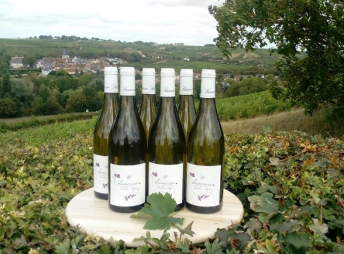 Domaine Doudeau-Leger - Sancerre Blanc AOC 2022 - 6 Bouteilles