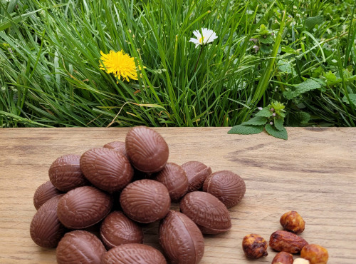 Basile et Téa - Œufs en chocolat au Lait 39% de Pâques Garnis Praliné amande et noisette 150g