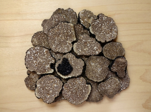 Ferme de Pourcier - Truffe Surgelée - Tuber Mélanosporum 50g