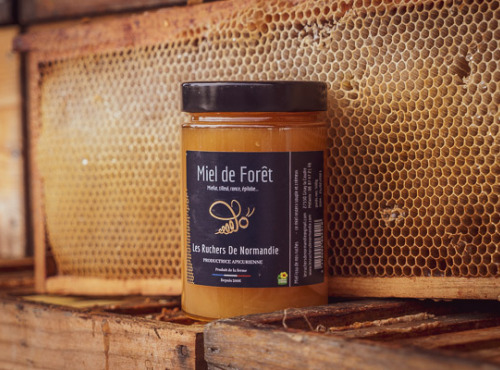 Les Ruchers de Normandie - Miel de Forêt crémeux 500g