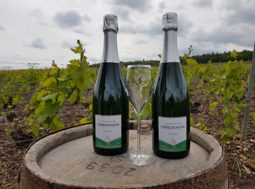 Champagne Deneufchatel - Champagne Deneufchatel Brut Tradition 2 X 75 Cl