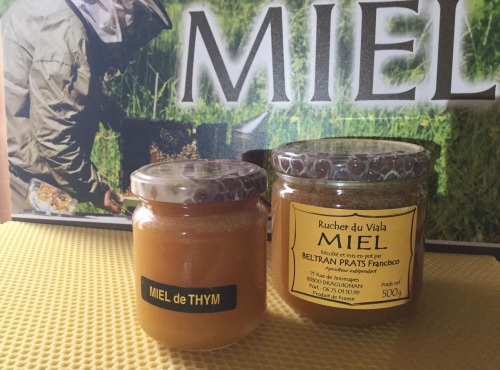 Rucher du Viala - Miel De Thym 500g