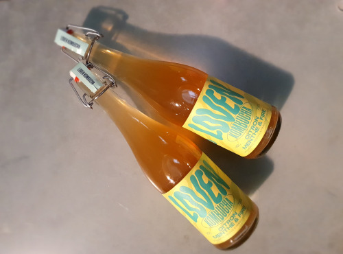 Brasserie L'Indispensable LOVEN Kombucha - Kombucha Citron Menthe & Fire - 3x75cl