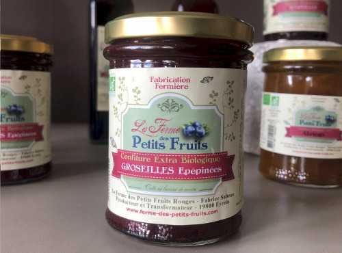 La Ferme des petits fruits - Confiture groseilles épépinées BIO