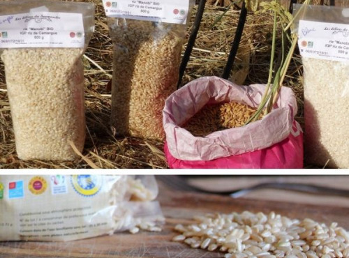 Les Délices du Scamandre - Riz Bio Semi-complet "Manobi" IGP Riz de Camargue - 20kg