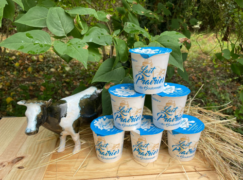 Lait Prairies du Boulonnais - Yaourt fermier nature ferme au lait entier x6