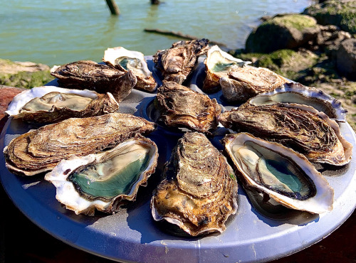 L'atelier D'Oléron - Eric Gaboriau - Huîtres Fines Charente-Maritime N°3 - 24 pièces + 6 offertes