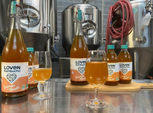 Brasserie L'Indispensable LOVEN Kombucha - SAVEUR EPHEMERE - 10x33cl Orange Nørdic (Orange, chicorée & Cardamome)