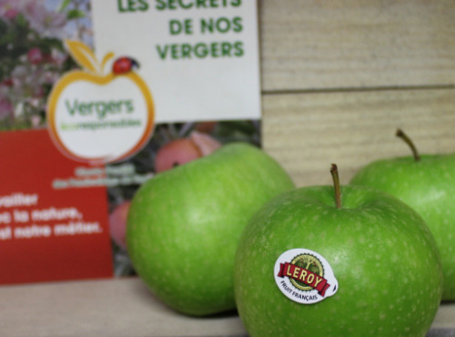 Le Châtaignier - Pommes Granny Smith - Colis 14 Kg