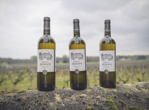 Château Jouvente - Vin de Graves blanc - Verticale de Château Jouvente 2018  2019  2020