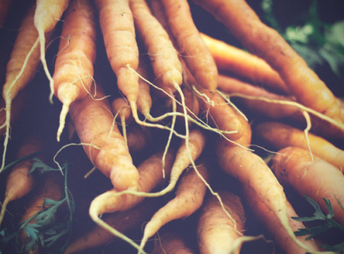 Multiproductions - Cédric Joliveau - Carottes Nantaises, 3kg