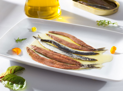 MAISON AITANA - Anchois du Cantabrie en Papillon à l'huile d'olive Vierge Extra Arbequina