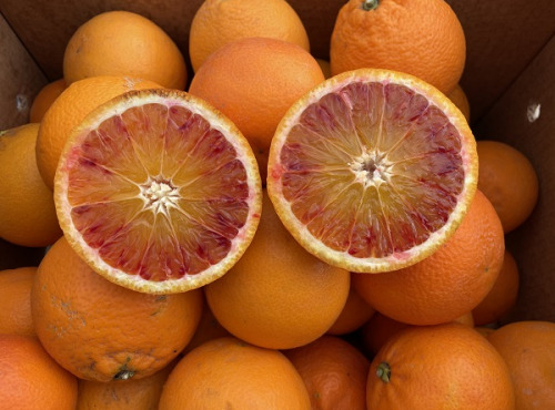 Le Potager de Sainte-Hélène - Orange Tarocco