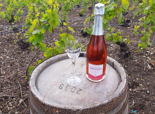 Champagne Deneufchatel - Champagne Deneufchatel Brut Rosé 1 X 75 Cl