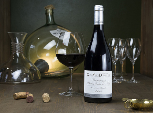 Dyvin : domaine Guy et Yvan Dufouleur - Domaine Guy & Yvan Dufouleur - Hautes-côtes De Nuits Rouge Les Dames Huguette - Lot De 3 B