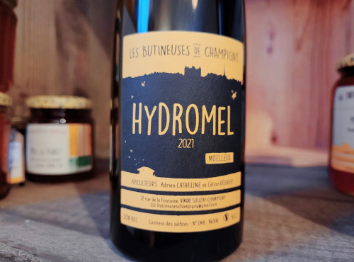 Les Butineuses de Champigny - Hydromel moelleux 50cl