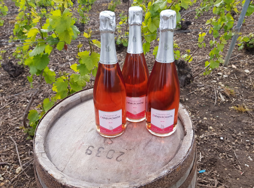 Champagne Deneufchatel - Champagne Deneufchatel Brut Rosé 3 X 75 Cl