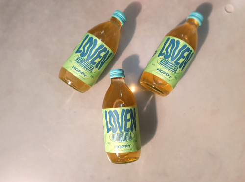 Brasserie L'Indispensable LOVEN Kombucha - Kombucha Hoppy (Houblons) - 10x33cl