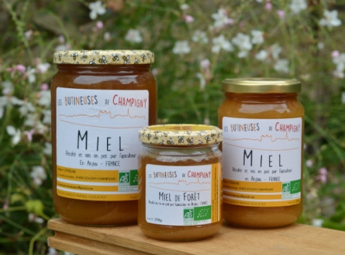 Les Butineuses de Champigny - Miel de Forêt Bio - 250 g