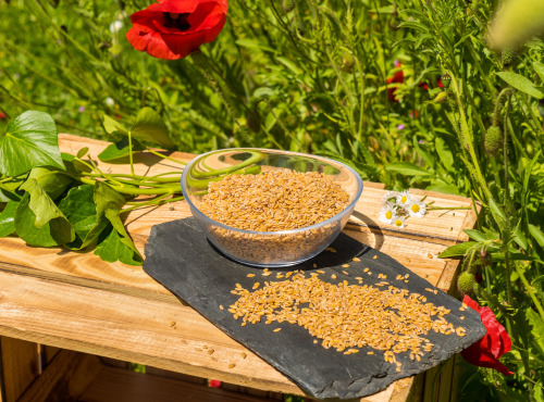 Sa Majesté la Graine - Petit épeautre du Berry - 350 G