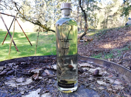 Vinaigres de la Carrière - Eau de Vie de Pomme au Fenouil - 50 cl