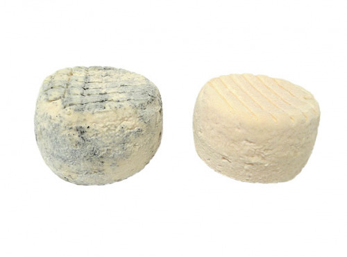 Fromagerie Seigneuret - Cabris Fermier