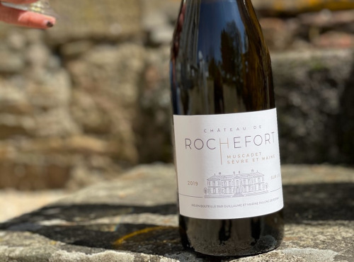 Château de ROCHEFORT - Muscadet de Sèvre et Maine sur Lie AOP - 2019